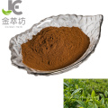 factory suppy high quality 98% natural tea polyphenol  extract powder